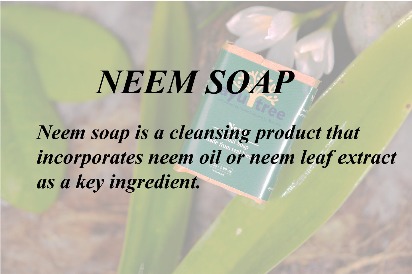 Neem Soap - 85gm