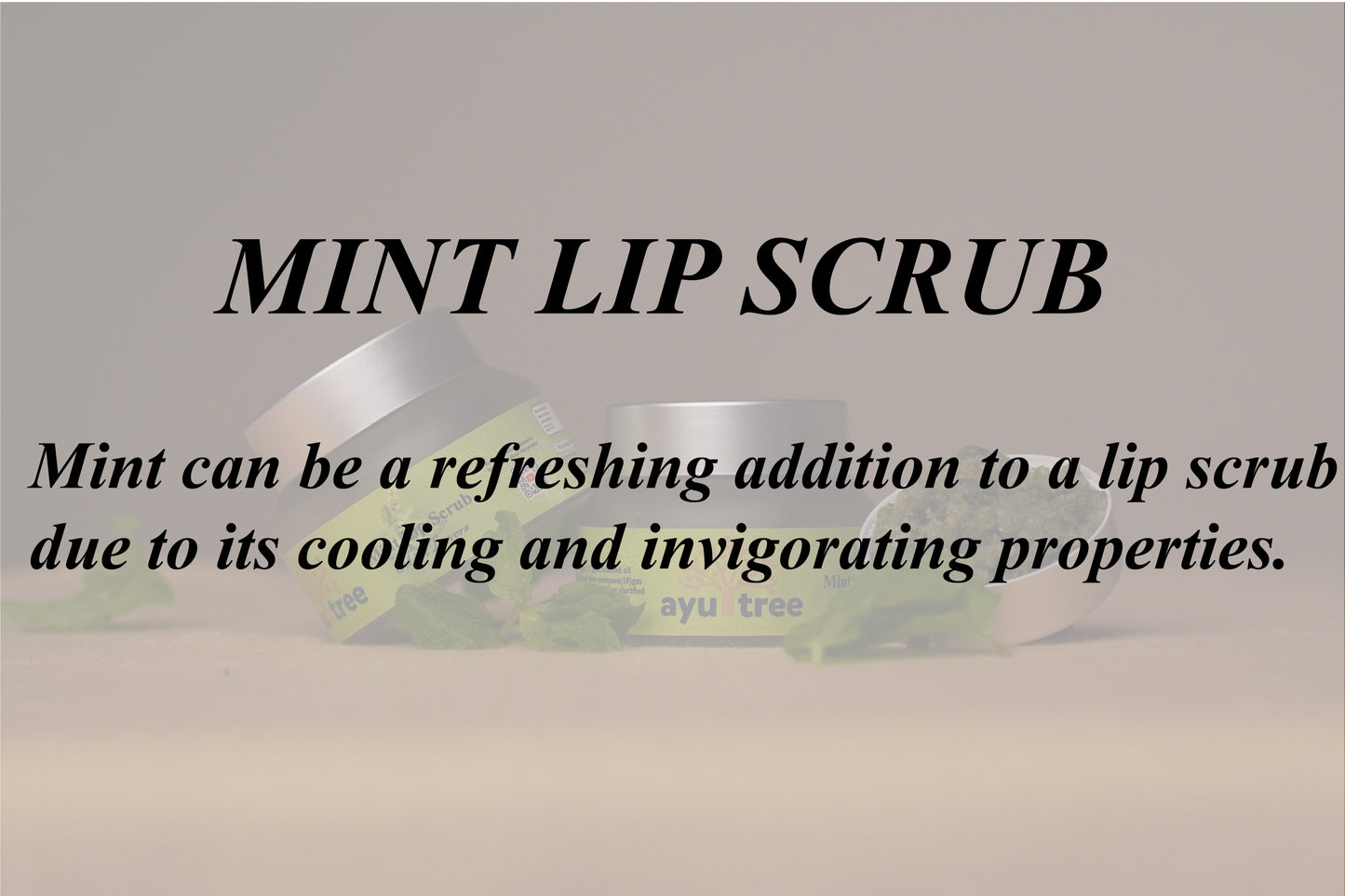 Mint Lip Scrub- 50 grm