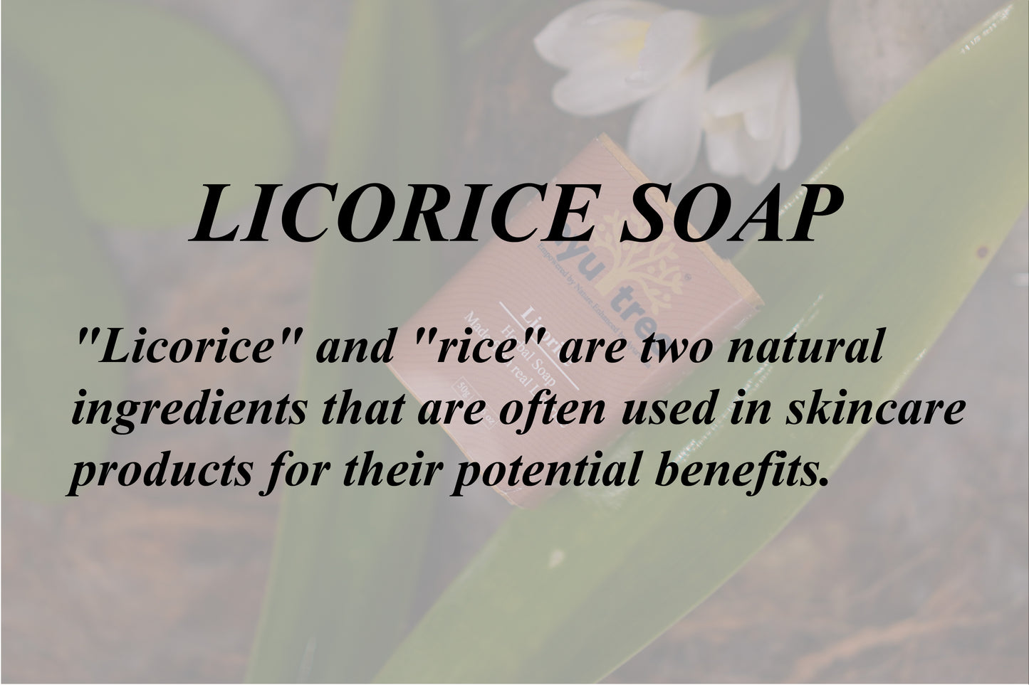 Licorice Soap for Skin Whitening - 50gm